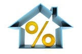 ptz credit construction