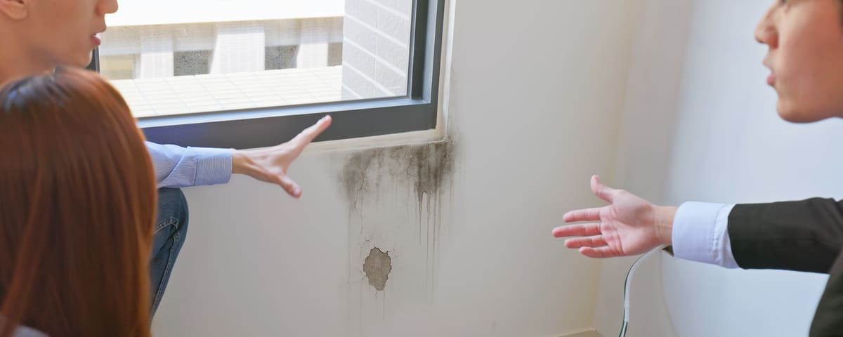 Rénovation d'une passoire thermique