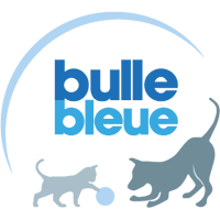 BULLE BLEUE