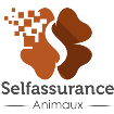 Self Assurance